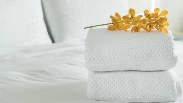 Xecutive Inn and Suites image 10