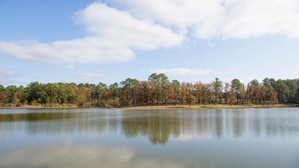 Xecutive Inn and Suites image 19