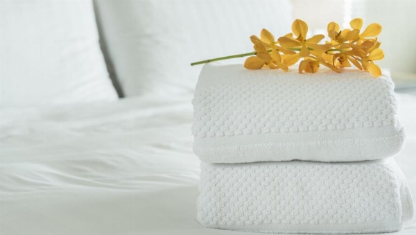 Xecutive Inn and Suites image 24